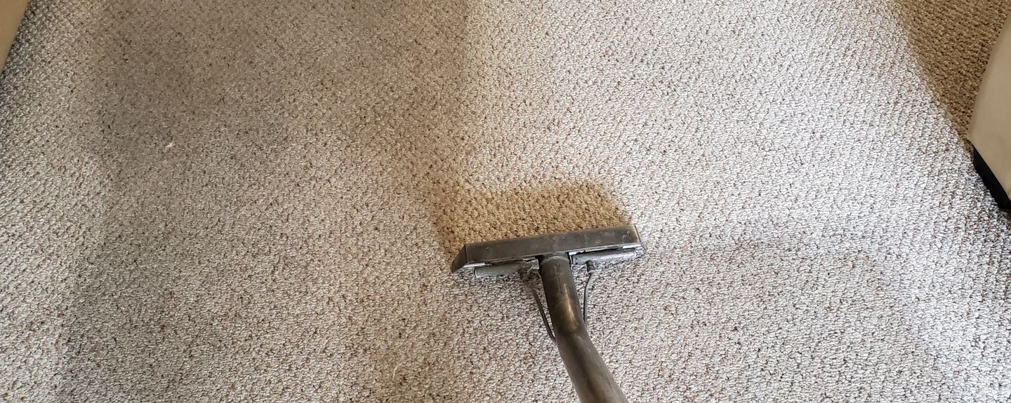 Heavily soiled carpet cleaning by Ardent Carpet Restore