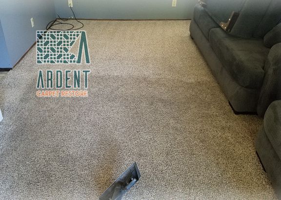 Carpet cleaning in process