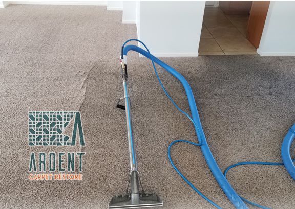 Rental property carpet cleaning in-process