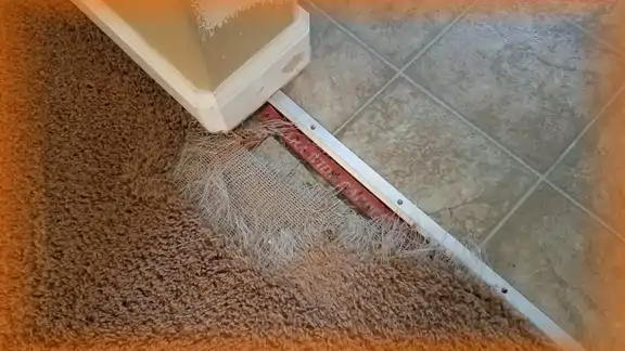 A large hole in the carpet, damaged by a dog