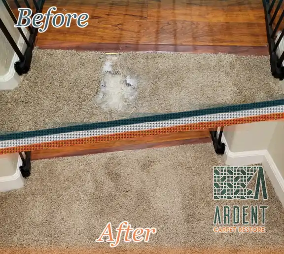 A bonded insert repair of carpet damaged by a pet