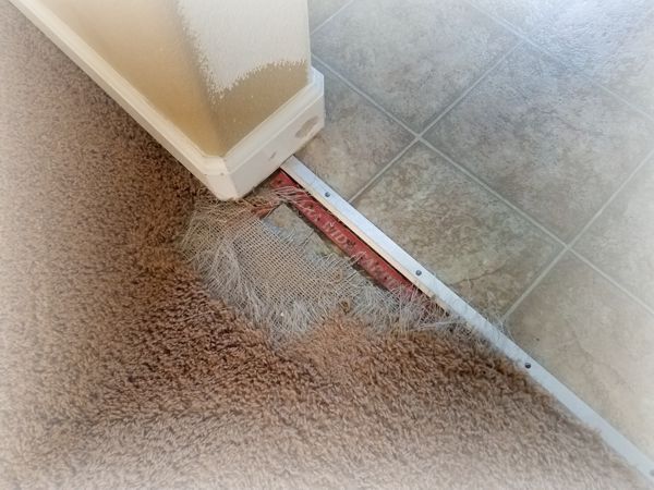 Carpet damaged by a dog