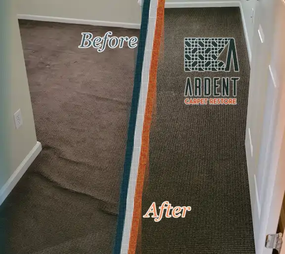 Buckled carpet re-stretching and cleaning